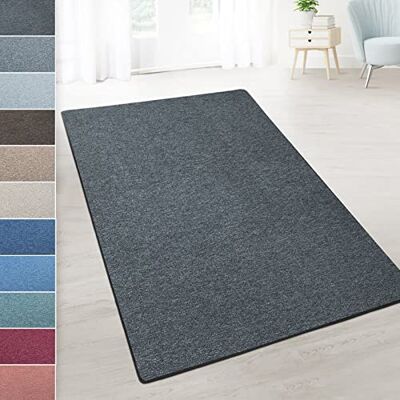 KARAT Precies passend tapijt Londen – randen zonder franjes dankzij modificatie – gesp duurzaam en gemakkelijk te onderhouden pool (antraciet – 80 x 600 cm) KARAT Precies passend tapijt Londen – randen zonder franjes dankzij modificatie – gesp duurzaam en gemakkelijk te onderhouden pool (antraciet – 80 x 600 cm)