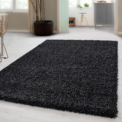 Carpetsale24 Hoogpolig tapijt, effen, vloerkleed voor slaapkamer en woonkamer, pluizig en zacht, 100 x 200 cm, antraciet Carpetsale24 Hoogpolig tapijt, effen, vloerkleed voor slaapkamer en woonkamer, pluizig en zacht, 100 x 200 cm, antraciet