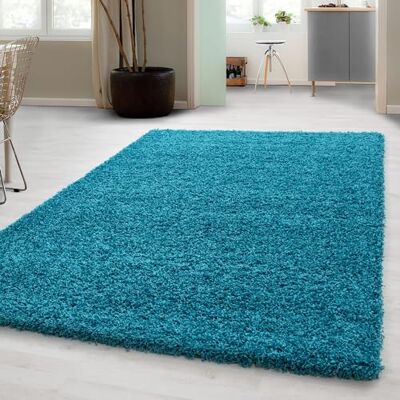 Carpetsale24 Hoogpolig shaggy tapijt voor de woonkamer, onderhoudsarm, getest op schadelijke stoffen, poolhoogte: 3 cm, Öko-Tex standaard, afmetingen: 120 x 170 cm, kleur: turquoise Carpetsale24 Hoogpolig shaggy tapijt voor de woonkamer, onderhoudsarm, getest op schadelijke stoffen, poolhoogte: 3 cm, Öko-Tex standaard, afmetingen: 120 x 170 cm, kleur: turquoise
