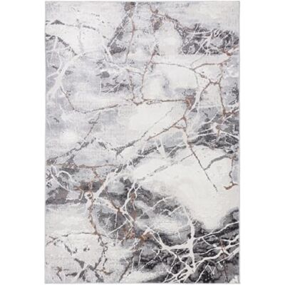 Mazovia Modern vloerkleed voor de woonkamer, groot formaat tapijt voor slaapkamer, volwassenen, modern, laagpolig tapijt voor slaapkamer en woonkamer, rug motief, 120 x 170 cm, abstract marmer/grijs Mazovia Modern vloerkleed voor de woonkamer, groot formaat tapijt voor slaapkamer, volwassenen, modern, laagpolig tapijt voor slaapkamer en woonkamer, rug motief, 120 x 170 cm, abstract marmer/grijs