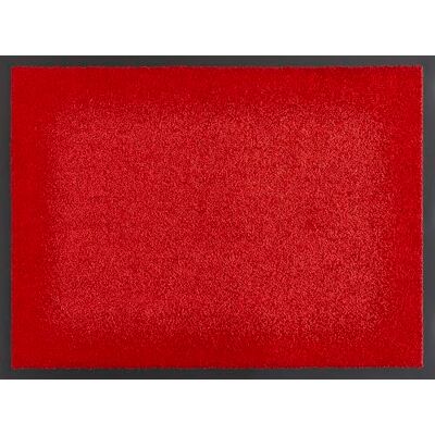 andiamo Verdi Vuilwerende deurmat voor de ingang van het huis, ideaal als deurmat voor binnen of als deurmat voor buiten, 90 x 150 cm, rood 2 andiamo Verdi Vuilwerende deurmat voor de ingang van het huis, ideaal als deurmat voor binnen of als deurmat voor buiten, 90 x 150 cm, rood 2