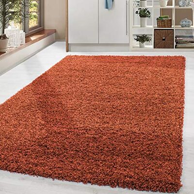 HomebyHome Groot vloerkleed voor de woonkamer, modern tapijt voor volwassenen, slaapkamer, tapijt, 300 x 400 cm, aarde, shaggy, langpolig, effen, zacht en pluizig, tapijt, keuken HomebyHome Groot vloerkleed voor de woonkamer, modern tapijt voor volwassenen, slaapkamer, tapijt, 300 x 400 cm, aarde, shaggy, langpolig, effen, zacht en pluizig, tapijt, keuken