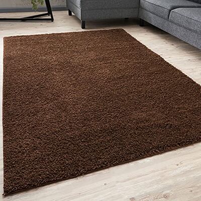 THE RUGS Langpolig tapijt voor de woonkamer, langpolig, zacht, elegante tapijten voor slaapkamer, keuken, gemakkelijk te reinigen, vele maten (120 x 170 cm, bruin) THE RUGS Langpolig tapijt voor de woonkamer, langpolig, zacht, elegante tapijten voor slaapkamer, keuken, gemakkelijk te reinigen, vele maten (120 x 170 cm, bruin)