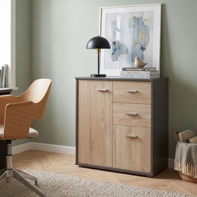 IDIMEX Remy dressoir, commode met 2 laden en 2 deuren, in mat grijs melamine en Sonoma eiken decor IDIMEX Remy dressoir, commode met 2 laden en 2 deuren, in mat grijs melamine en Sonoma eiken decor