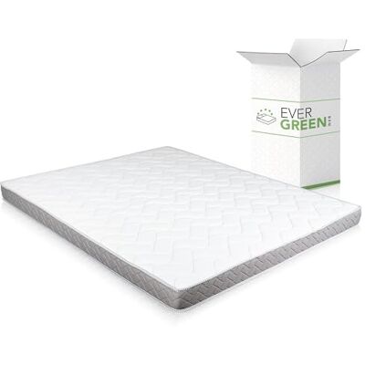 EvergreenWeb Matras voor Slaapbank 140X190 cm Orthopedisch Koudschuim Matras 14 cm hoog Ergonomisch voor ReadyBed met Hypoallergene Bekleding Wit DAYBed EvergreenWeb Matras voor Slaapbank 140X190 cm Orthopedisch Koudschuim Matras 14 cm hoog Ergonomisch voor ReadyBed met Hypoallergene Bekleding Wit DAYBed