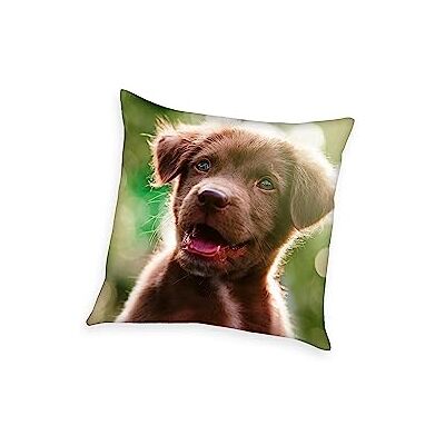 Herding Decoratief kussen, Young Collection puppy, 40 x 40 cm, polyester Herding Decoratief kussen, Young Collection puppy, 40 x 40 cm, polyester