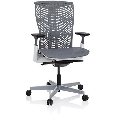 hjh OFFICE 640511 professionele bureaustoel SKOPE TPE grijs/wit ergonomische bureaustoel, flexibele rugleuning, verstelbare zitdiepte en armleuningen hjh OFFICE 640511 professionele bureaustoel SKOPE TPE grijs/wit ergonomische bureaustoel, flexibele rugleuning, verstelbare zitdiepte en armleuningen