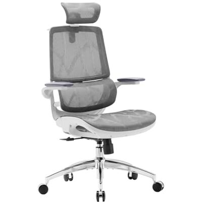 SIHOO M59AS Ergonomische bureaustoel met 3D-opklapbare armleuningen, ontwerp met dubbele rugleuning en adaptieve dynamische lendensteun, bureaustoel van mesh voor thuis (grijs) SIHOO M59AS Ergonomische bureaustoel met 3D-opklapbare armleuningen, ontwerp met dubbele rugleuning en adaptieve dynamische lendensteun, bureaustoel van mesh voor thuis (grijs)