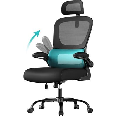 SONGMICS Bureaustoel, bureaustoel, ergonomische mesh-stoel, met dubbel net, inklapbare armleuningen, verstelbare lendensteun en hoofdsteun, kantelfunctie, inktzwart OBN041B01 SONGMICS Bureaustoel, bureaustoel, ergonomische mesh-stoel, met dubbel net, inklapbare armleuningen, verstelbare lendensteun en hoofdsteun, kantelfunctie, inktzwart OBN041B01