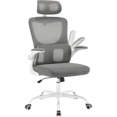 WOLTU Ergonomische bureaustoel van ademend mesh, met adaptieve lendensteun, verstelbare hoofdsteun en inklapbare armleuningen, voor kantoor en thuis, grijs WOLTU Ergonomische bureaustoel van ademend mesh, met adaptieve lendensteun, verstelbare hoofdsteun en inklapbare armleuningen, voor kantoor en thuis, grijs