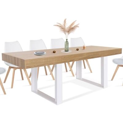 IDMarket Phoenix eettafel, rechthoekig, voor 10 personen, van hout en wit, 200 cm IDMarket Phoenix eettafel, rechthoekig, voor 10 personen, van hout en wit, 200 cm