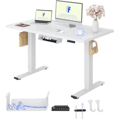 FLEXISPOT Elektrisch staand bureau met 2 motoren, 120 x 80 cm, uit één stuk, met geheugenfunctiepaneel, elektrisch in hoogte verstelbaar bureau, belasting 100 kg, wit + wit FLEXISPOT Elektrisch staand bureau met 2 motoren, 120 x 80 cm, uit één stuk, met geheugenfunctiepaneel, elektrisch in hoogte verstelbaar bureau, belasting 100 kg, wit + wit