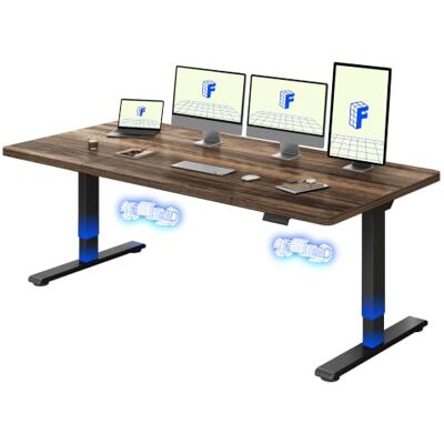 FLEXISPOT In hoogte verstelbaar bureau 200 x 80 cm met 2 krachtige motoren, stabiel in hoogte verstelbaar bureau, elektrisch stabureau met geheugenfunctie (zwart + bruin) FLEXISPOT In hoogte verstelbaar bureau 200 x 80 cm met 2 krachtige motoren, stabiel in hoogte verstelbaar bureau, elektrisch stabureau met geheugenfunctie (zwart + bruin)