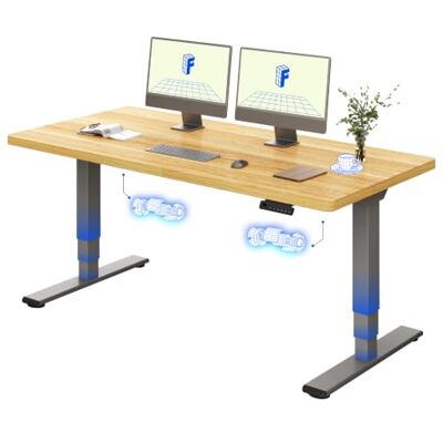 FLEXISPOT EC5 Lite elektrisch in hoogte verstelbaar bureau 160 x 80 cm met 2 motoren en 3 niveaus, in hoogte verstelbare tafel met 4 geheugenfuncties, tafeldikte 25 mm, 60-125 cm FLEXISPOT EC5 Lite elektrisch in hoogte verstelbaar bureau 160 x 80 cm met 2 motoren en 3 niveaus, in hoogte verstelbare tafel met 4 geheugenfuncties, tafeldikte 25 mm, 60-125 cm