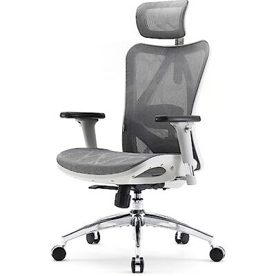 SIHOO Ergonomische bureaustoel van mesh met verstelbare lendensteun, 3D-armleuningen, computerstoel met hoge rugleuning, ademend (lichtgrijs) SIHOO Ergonomische bureaustoel van mesh met verstelbare lendensteun, 3D-armleuningen, computerstoel met hoge rugleuning, ademend (lichtgrijs)