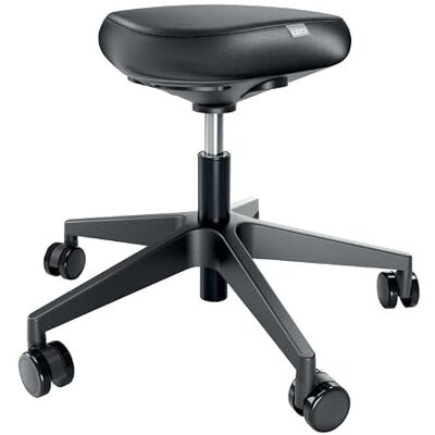 Leitz Ergo 65780095 rolkruk in hoogte verstelbaar (46-59 cm) zitkussen van schuim met dubbele dichtheid ergonomische zadelkruk voor thuis, kantoor, professionals en Leitz Ergo 65780095 rolkruk in hoogte verstelbaar (46-59 cm) zitkussen van schuim met dubbele dichtheid ergonomische zadelkruk voor thuis, kantoor, professionals en