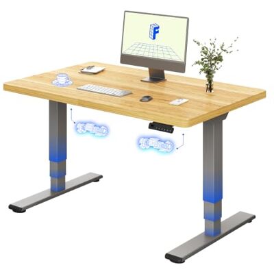 FLEXISPOT EC5 Lite Elektrisch hefbureau 120 x 80 cm, 2 motoren en 3 etages, in hoogte verstelbare tafel met 4 geheugenfuncties, 25 mm tafeldikte, 60-125 cm FLEXISPOT EC5 Lite Elektrisch hefbureau 120 x 80 cm, 2 motoren en 3 etages, in hoogte verstelbare tafel met 4 geheugenfuncties, 25 mm tafeldikte, 60-125 cm