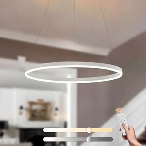 YYUTLUO Moderne led-kroonluchter DIY cirkel 1 witte ringen: 60 cm = 29 W hangende verlichting led metaal + acryl afstandsbediening dimbaar 2,15 g hanglamp plafond rond woonkamer slaapkamer YYUTLUO Moderne led-kroonluchter DIY cirkel 1 witte ringen: 60 cm = 29 W hangende verlichting led metaal + acryl afstandsbediening dimbaar 2,15 g hanglamp plafond rond woonkamer slaapkamer