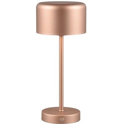 RL LIVE YOUR LIGHT Reality Leuchten Jeff R59151165 Draadloze led-tafellamp, koffiemetaal, 1,5 watt, 4 x touch RL LIVE YOUR LIGHT Reality Leuchten Jeff R59151165 Draadloze led-tafellamp, koffiemetaal, 1,5 watt, 4 x touch