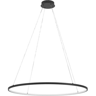 EGLO Parruta LED Hanglamp Hanglamp Plafondlamp Cirkelvorm Eetkamer Kroonluchter met Afstandsbediening Zwart Metaal en Kunststof Wit Warm Wit Koud, Ø 99 cm EGLO Parruta LED Hanglamp Hanglamp Plafondlamp Cirkelvorm Eetkamer Kroonluchter met Afstandsbediening Zwart Metaal en Kunststof Wit Warm Wit Koud, Ø 99 cm