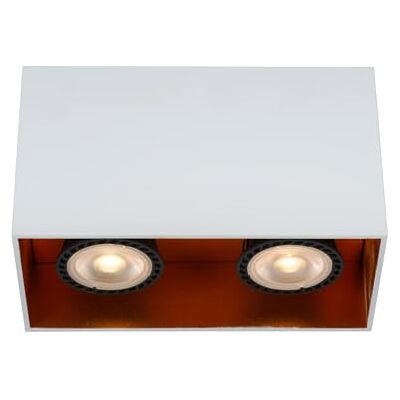 LUCIDE Bido – plafondspot – 2 x GU10 – wit LUCIDE Bido – plafondspot – 2 x GU10 – wit