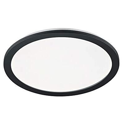 RL LIVE YOUR LIGHT Reality Leuchten Camillus R62922432 LED plafondlamp zwart mat acryl wit + LED 24W RL LIVE YOUR LIGHT Reality Leuchten Camillus R62922432 LED plafondlamp zwart mat acryl wit + LED 24W