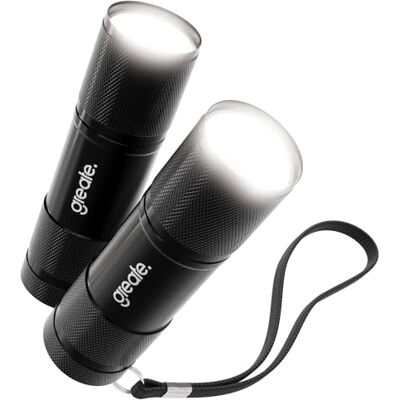 greate Set van 2 mini-zaklampen voor kinderen, klein en helder aluminium, 175 lumen, kinderzaklamp met polsband en eenvoudige bediening, led, werkt op batterijen, voor de greate Set van 2 mini-zaklampen voor kinderen, klein en helder aluminium, 175 lumen, kinderzaklamp met polsband en eenvoudige bediening, led, werkt op batterijen, voor de