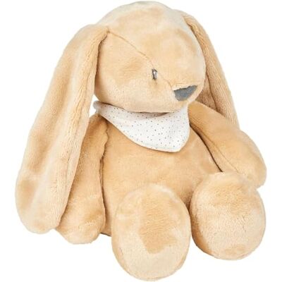 Nattou Sleepy nachtlampje, konijn, 7 natuurlijke tinten, geïntegreerde muziekdoos, oplaadbare USB-batterij, 19,3 x 11 x 30,5 cm, veganistisch, pluche/polyester, lichtbruin Nattou Sleepy nachtlampje, konijn, 7 natuurlijke tinten, geïntegreerde muziekdoos, oplaadbare USB-batterij, 19,3 x 11 x 30,5 cm, veganistisch, pluche/polyester, lichtbruin