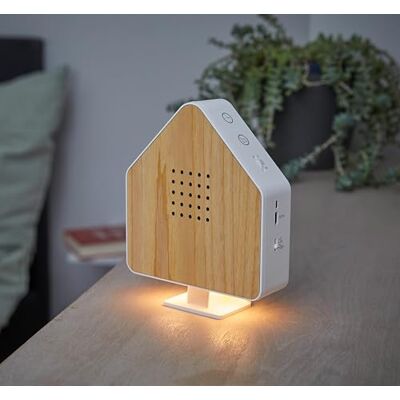Northpoint Natuurlijke geluidskist voor vogels van echt hout, onzichtbaar, HF-bewegingsmelder, oplaadbaar licht met wandhouder, essenhout wit Northpoint Natuurlijke geluidskist voor vogels van echt hout, onzichtbaar, HF-bewegingsmelder, oplaadbaar licht met wandhouder, essenhout wit