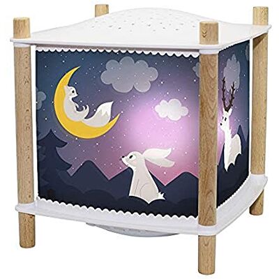 Trousselier Bos Nachtlampje voor baby's met muziek en licht en kind ReVOLUTION 2.0 lantaarn Cadeau geboorte nachtlampje oplaadbaar USB Sterrenhemel Projector Huildetector Trousselier Bos Nachtlampje voor baby's met muziek en licht en kind ReVOLUTION 2.0 lantaarn Cadeau geboorte nachtlampje oplaadbaar USB Sterrenhemel Projector Huildetector