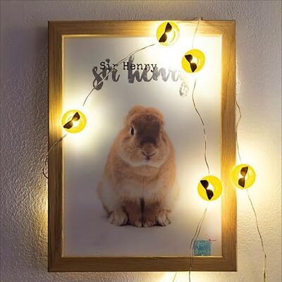 Hellum 522952 led-lichtketting van koper met 10 warmwitte leds met een lengte van 90 cm, zilveren kabel en binnen op batterijen (2AA) Hellum 522952 led-lichtketting van koper met 10 warmwitte leds met een lengte van 90 cm, zilveren kabel en binnen op batterijen (2AA)