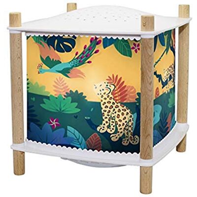 Trousselier Savane Muzikale en lichtgevende babynachtlampje en kinderen ReVOLUTION 2.0 lantaarn Cadeau geboorte nachtlampje oplaadbaar USB Sterrenhemel Projector Huildetector Trousselier Savane Muzikale en lichtgevende babynachtlampje en kinderen ReVOLUTION 2.0 lantaarn Cadeau geboorte nachtlampje oplaadbaar USB Sterrenhemel Projector Huildetector