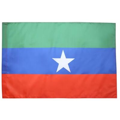 AZ FLAG Vlag Ogaden onafhankelijk, Ethiopië, 90 x 60 cm, FNLO-vlag, 60 x 90 cm, vlaggenschede voor vlaggen Usage intérieur et extérieur Drapeau décoratif du FNLO coutures doubles et bords renforcés avec fourreau pour mât AZ FLAG Vlag Ogaden onafhankelijk, Ethiopië, 90 x 60 cm, FNLO-vlag, 60 x 90 cm, vlaggenschede voor vlaggen Usage intérieur et extérieur Drapeau décoratif du FNLO coutures doubles et bords renforcés avec fourreau pour mât