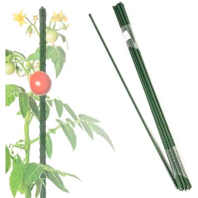 KARAT 10 stuks kleine tomatenstokken 60 cm voor klimplanten, komkommers of bloemen kamerplantenstandaard kunststof metaal 11 mm dik KARAT 10 stuks kleine tomatenstokken 60 cm voor klimplanten, komkommers of bloemen kamerplantenstandaard kunststof metaal 11 mm dik