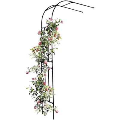 Gaommini Halve zijboog van zwart metaal, halfronde rozenboog, 2,4 m, tuinbogen aan de muur, klimplanten, pergola-paviljoen van rooster voor terras in de achtertuin van het gazon (maat: 2 Gaommini Halve zijboog van zwart metaal, halfronde rozenboog, 2,4 m, tuinbogen aan de muur, klimplanten, pergola-paviljoen van rooster voor terras in de achtertuin van het gazon (maat: 2
