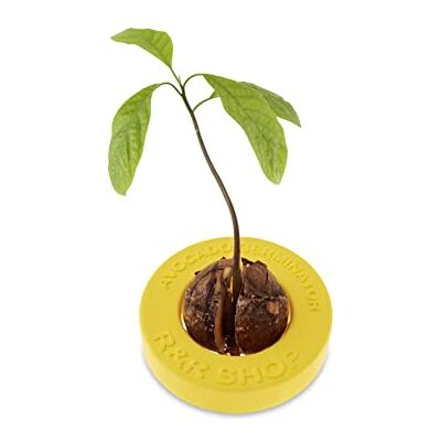 R&R SHOP Avocado Germinator Drijvende pot voor het ontkiemen van avocado, set voor het kweken van zaden, 100% maïskunststof (geel) R&R SHOP Avocado Germinator Drijvende pot voor het ontkiemen van avocado, set voor het kweken van zaden, 100% maïskunststof (geel)