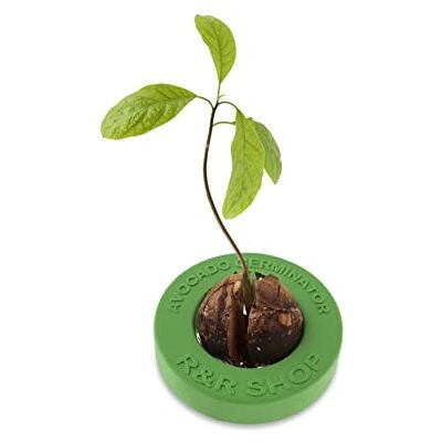 R&R SHOP Avocado Germinator Drijvende pot voor het ontkiemen van avocado, set voor het kweken van zaden, 100% maïskunststof (groen) R&R SHOP Avocado Germinator Drijvende pot voor het ontkiemen van avocado, set voor het kweken van zaden, 100% maïskunststof (groen)