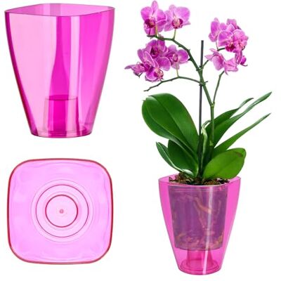 KADAX Elegante bloempot unieke orchidee, madeliefje, voor keuken en woonkamer (12 cm, vierkant, roze) KADAX Elegante bloempot unieke orchidee, madeliefje, voor keuken en woonkamer (12 cm, vierkant, roze)