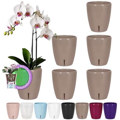 Santino Set van 6 orchideeënpotten. Diameter: 12 cm, met lontsysteem en waterniveau-indicator, voor gebruik binnenshuis, zandkleurig, 1,3 l Santino Set van 6 orchideeënpotten. Diameter: 12 cm, met lontsysteem en waterniveau-indicator, voor gebruik binnenshuis, zandkleurig, 1,3 l