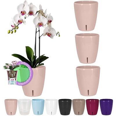 Santino 4 stuks zelfbewaterende bloempotten met lontsysteem en waterpeilindicator voor binnenruimtes, orchideeënbloempot, D 15 cm (lavendel, 2 l). Santino 4 stuks zelfbewaterende bloempotten met lontsysteem en waterpeilindicator voor binnenruimtes, orchideeënbloempot, D 15 cm (lavendel, 2 l).
