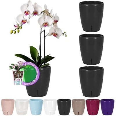 Santino 4 stuks zelfbewaterende potten met bewateringssysteem en waterniveau-indicator voor gebruik binnenshuis, pot voor orchideeën D 15 cm (antraciet, 2 liter) Santino 4 stuks zelfbewaterende potten met bewateringssysteem en waterniveau-indicator voor gebruik binnenshuis, pot voor orchideeën D 15 cm (antraciet, 2 liter)