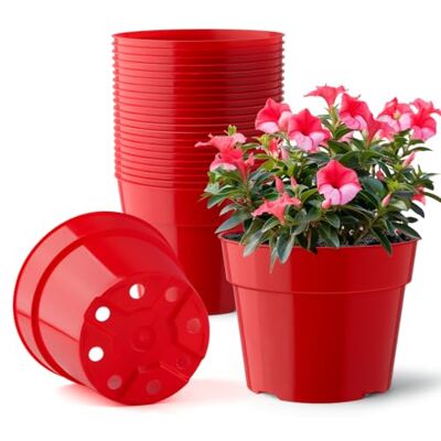 RooTrimmer 20 stuks kunststof bloempotten met een diameter van 15 cm, felrood, 20 wateropvangbakken, schotels en 20 net-aardblokken (potten + dienblad + gaas) RooTrimmer 20 stuks kunststof bloempotten met een diameter van 15 cm, felrood, 20 wateropvangbakken, schotels en 20 net-aardblokken (potten + dienblad + gaas)