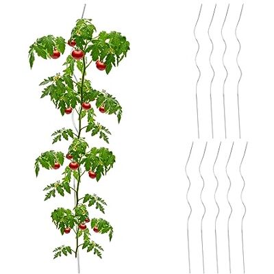 Relaxdays 10 stuks tomatenspiraal staven verzinkt staal Ø 5 mm lengte 90 cm zilver Relaxdays 10 stuks tomatenspiraal staven verzinkt staal Ø 5 mm lengte 90 cm zilver