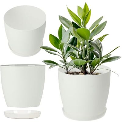 KADAX Bloempot met onderzetter, ronde kunststof pot, matte bloempot voor cactussen, varens, glanzende pot voor balkon, appartement en terras (20 cm, wit) KADAX Bloempot met onderzetter, ronde kunststof pot, matte bloempot voor cactussen, varens, glanzende pot voor balkon, appartement en terras (20 cm, wit)