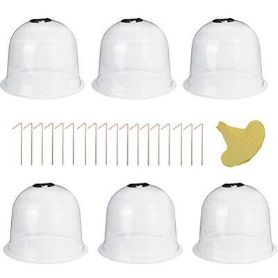 YueWan 6 stuks herbruikbare plastic beschermende klokken voor tuinplanten Voor buiten en binnen Voor zaaien Transparant YueWan 6 stuks herbruikbare plastic beschermende klokken voor tuinplanten Voor buiten en binnen Voor zaaien Transparant