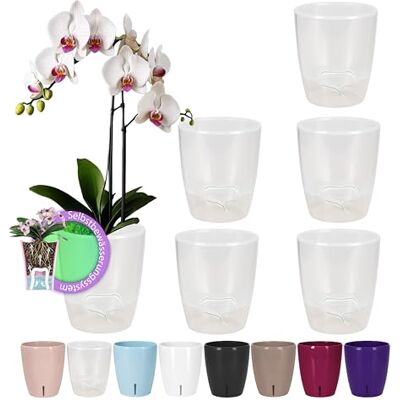 Santino Set van 6 orchideeënpotten Ø 12 cm met lontsysteem en waterniveau-indicator voor binnen, transparant, 1,3 l Santino Set van 6 orchideeënpotten Ø 12 cm met lontsysteem en waterniveau-indicator voor binnen, transparant, 1,3 l
