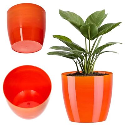KADAX Ronde bloempot van kunststof, glanzend, voor cactussen, varens, voor balkon, appartement en terras (12 cm, geel) KADAX Ronde bloempot van kunststof, glanzend, voor cactussen, varens, voor balkon, appartement en terras (12 cm, geel)