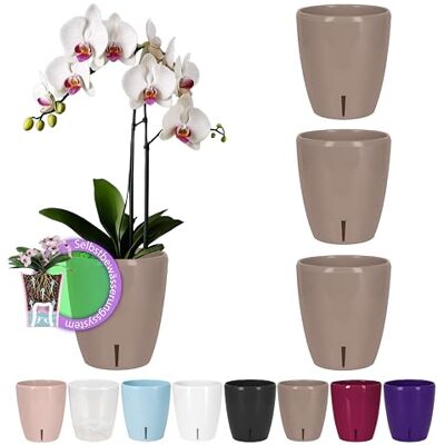Santino 4 orchideeënpotten met een diameter van 15 cm, met lont, en waterniveau-indicator voor binnen, zand 2 liter Santino 4 orchideeënpotten met een diameter van 15 cm, met lont, en waterniveau-indicator voor binnen, zand 2 liter