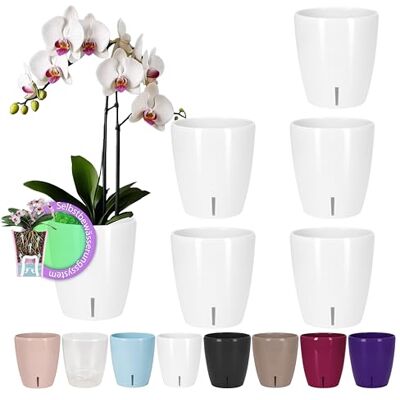 Santino set van 6 zelfbevochtigende potten met wick-systeem en waterniveau-indicator voor binnen, orchideeënpot D 12 cm (wit, 1,3 l) Santino set van 6 zelfbevochtigende potten met wick-systeem en waterniveau-indicator voor binnen, orchideeënpot D 12 cm (wit, 1,3 l)