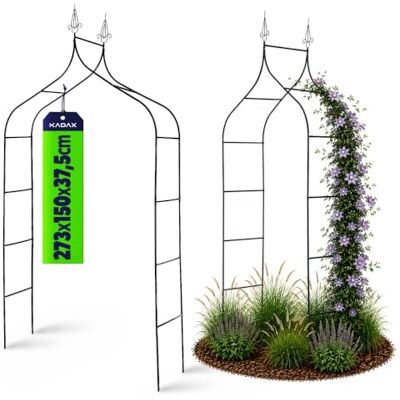KADAX Tuinboog voor klimplanten, robuuste boog, rozenboog, ijzeren gaas, weerbestendige pergola, rooster (ijzer) KADAX Tuinboog voor klimplanten, robuuste boog, rozenboog, ijzeren gaas, weerbestendige pergola, rooster (ijzer)
